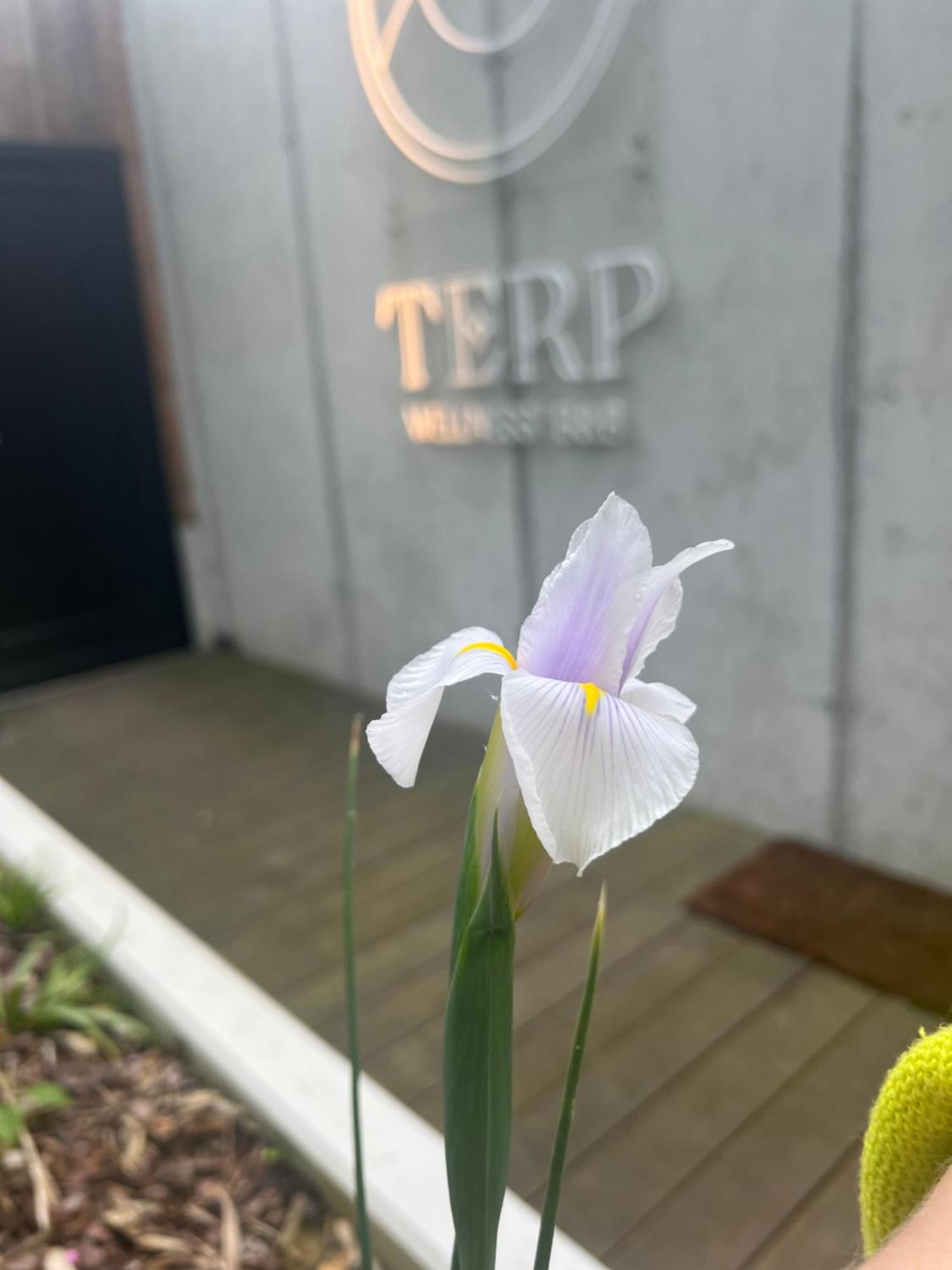 Terp Bed & Breakfast โปเปอริงเงอ ภายนอก รูปภาพ