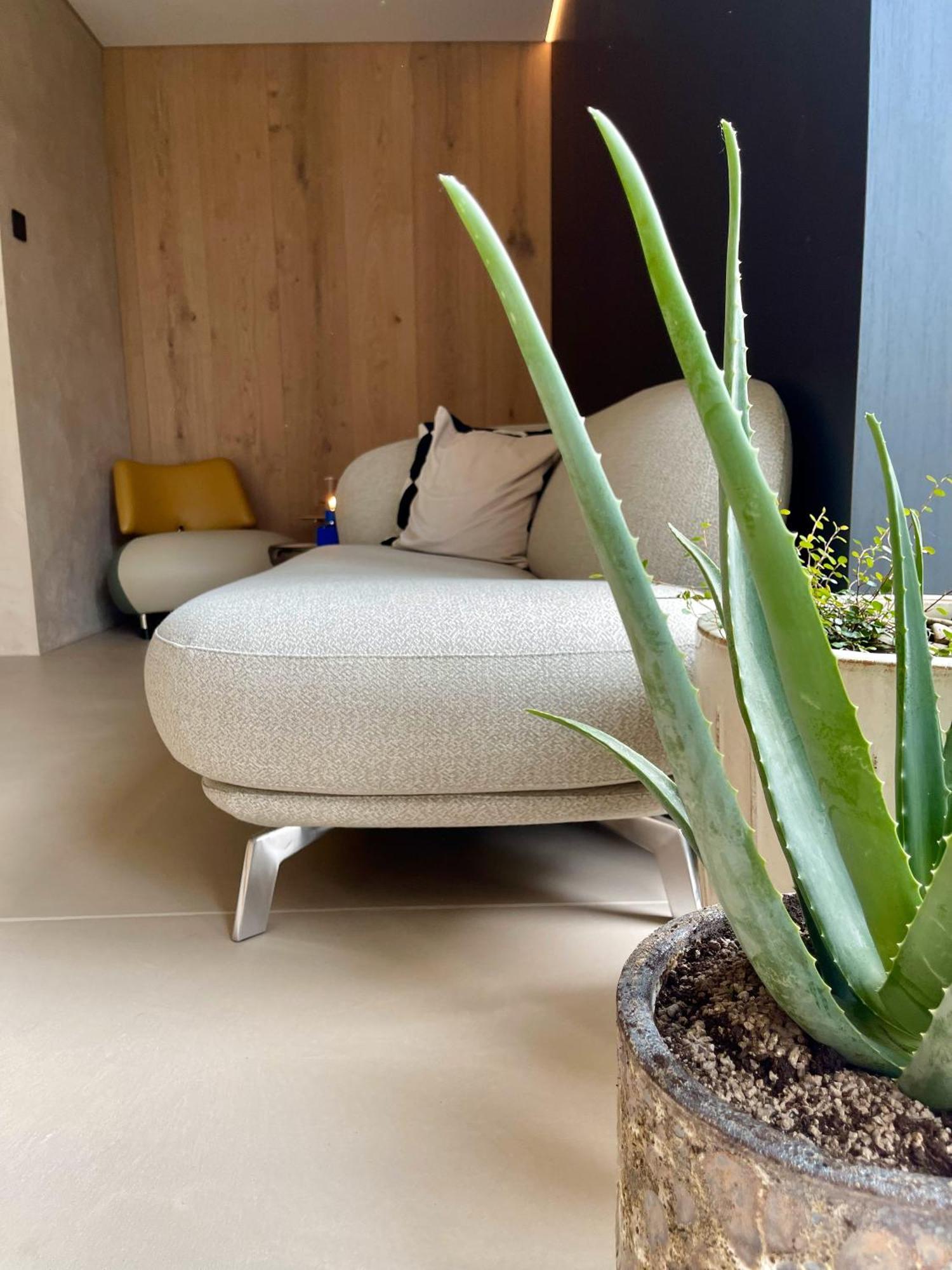 Terp Bed & Breakfast โปเปอริงเงอ ภายนอก รูปภาพ